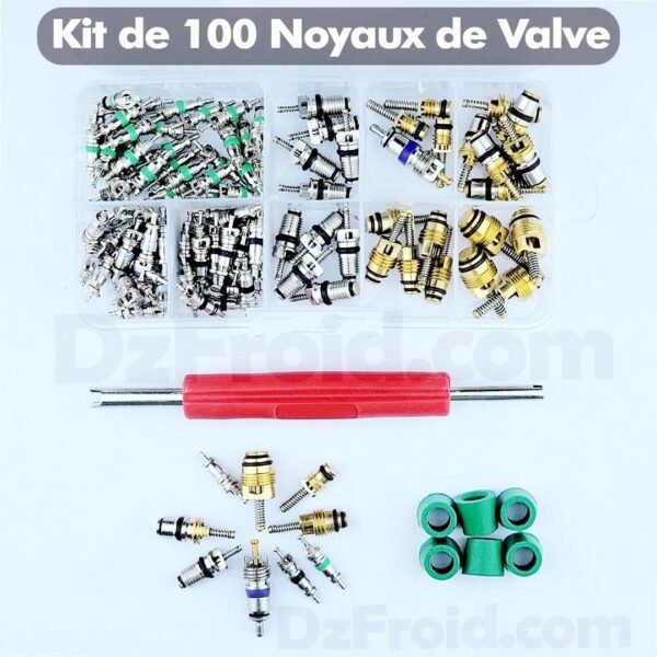Kit de 100 Noyaux de Valve +
Démonte obus de valve